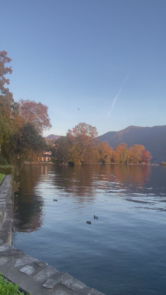 Svizzera